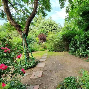  Appartement Rez De Jardin De Maison Avec Grand Jardin Exclusif